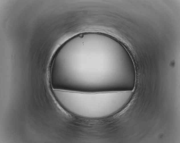 X0000095891517200801110816