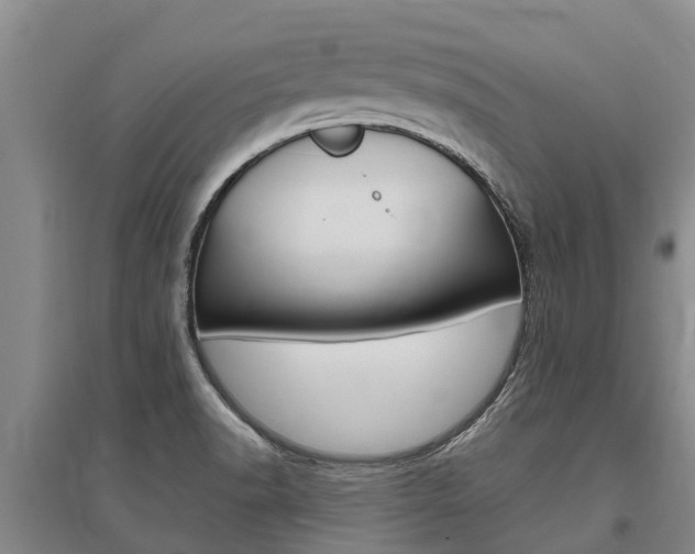 X0000095891518200801110816
