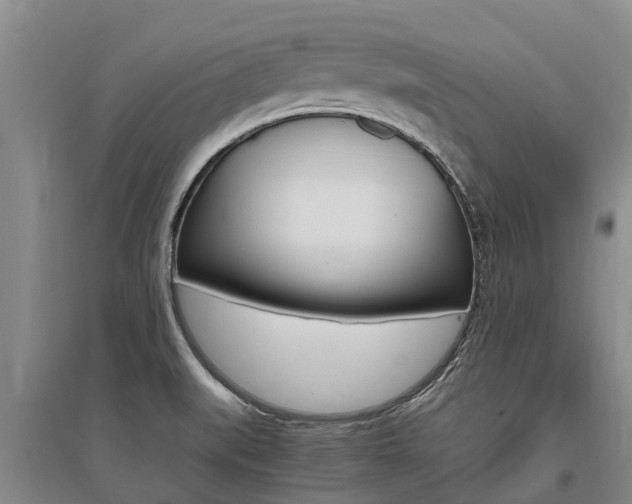 X0000095891519200801110816