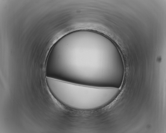 X0000095891521200801110816