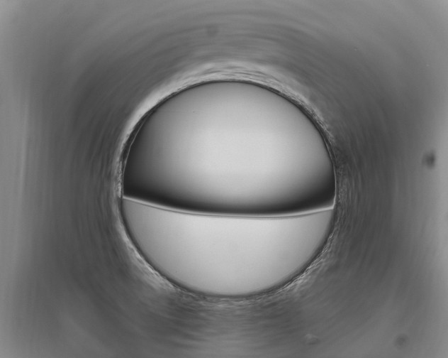 X0000095891522200801110816