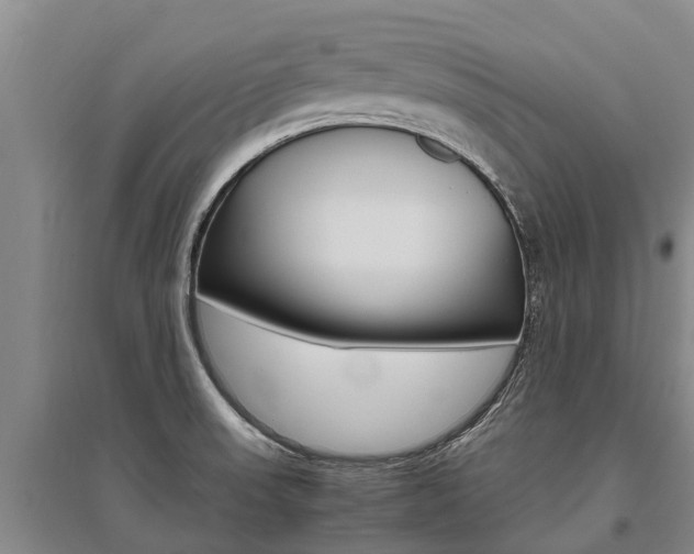 X0000095891523200801110816