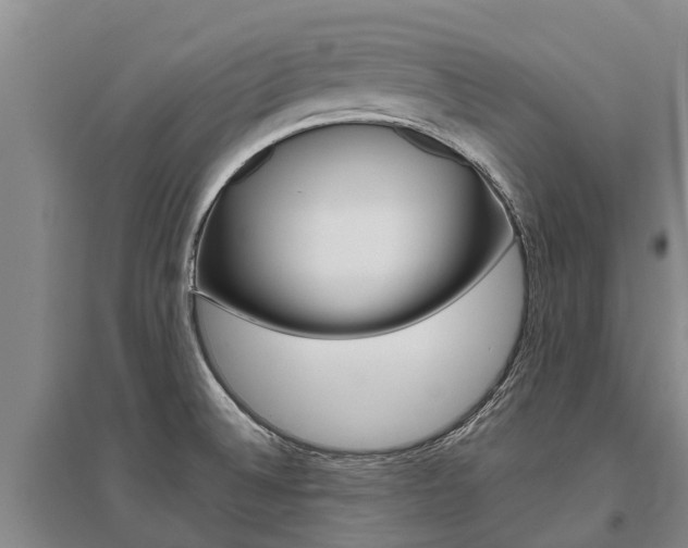 X0000095891524200801110816