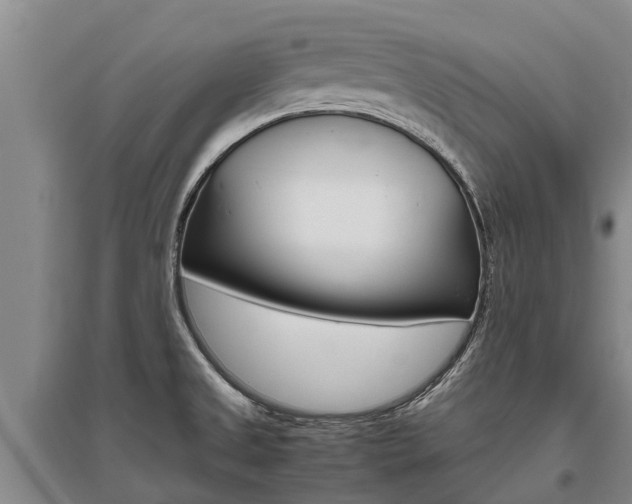X0000095891525200801110816