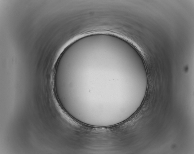 X0000095891526200801110816