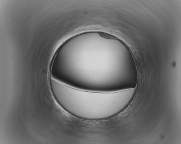 X0000095891527200801110816