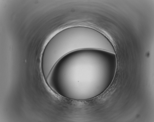 X0000095891528200801110816