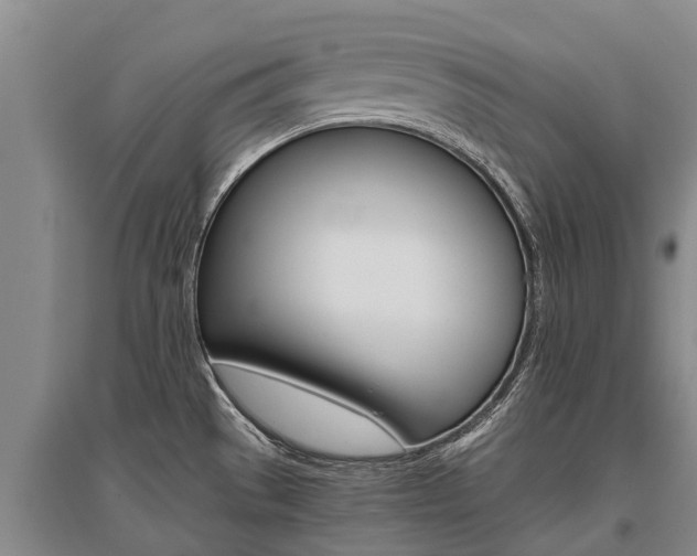 X0000095891529200801110817