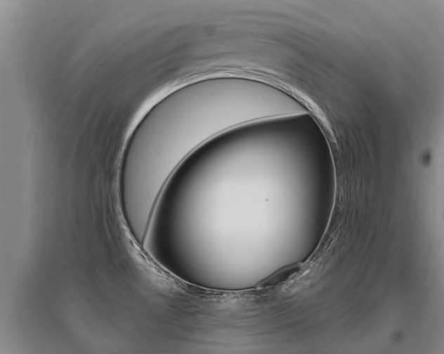 X0000095891530200801110817