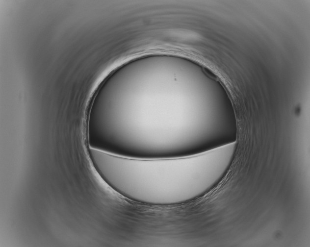 X0000095891531200801110817
