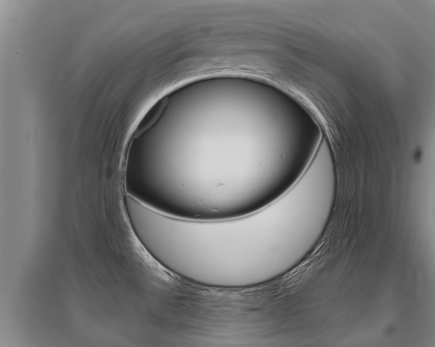 X0000095891532200801110817