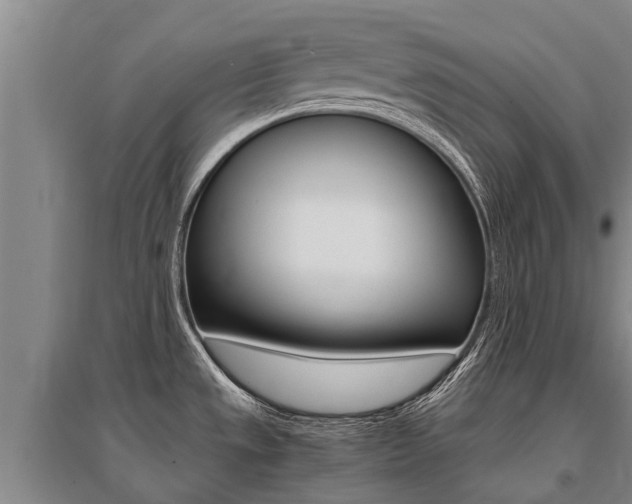 X0000095891533200801110817