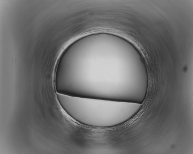 X0000095891535200801110817
