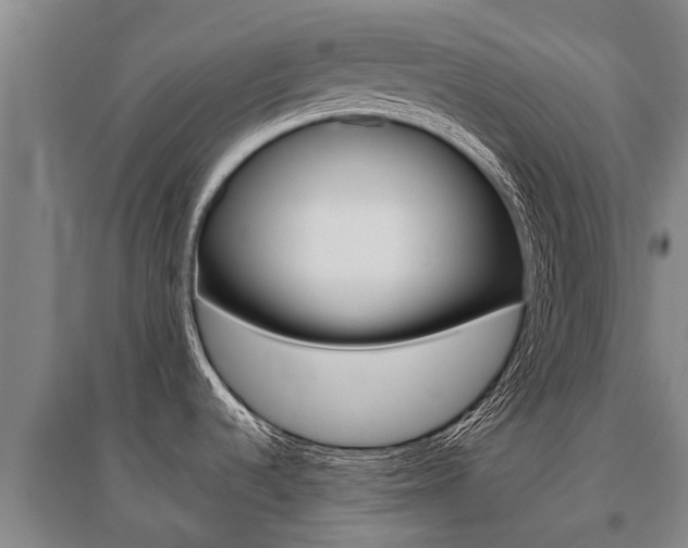 X0000095891536200801110817