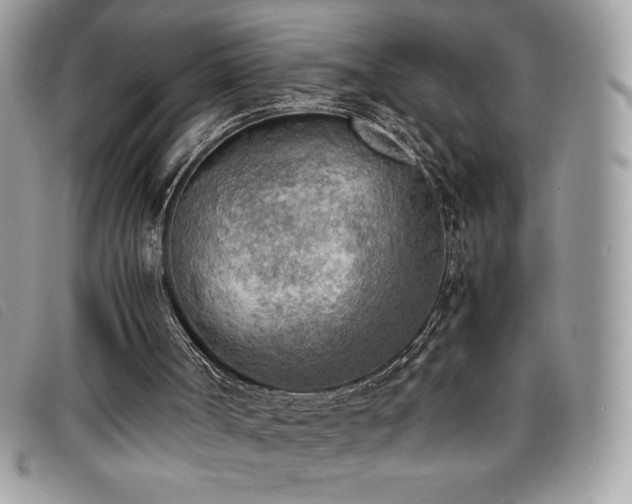 X0000095890002200801111205