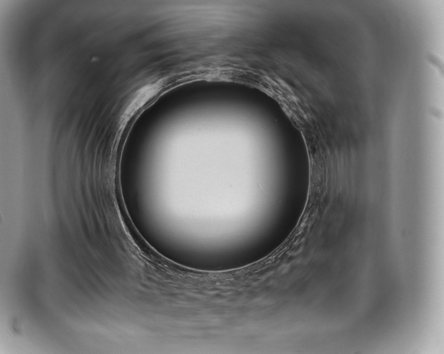 X0000095890003200801111205