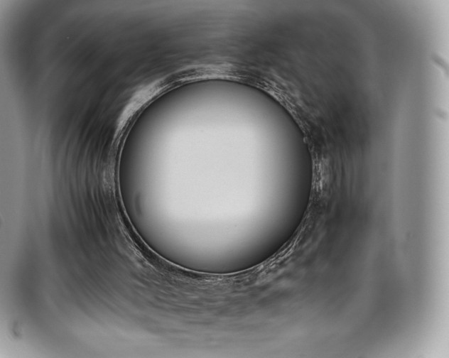 X0000095890004200801111205