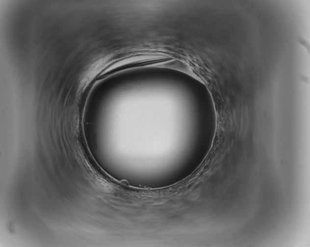 X0000095890005200801111205