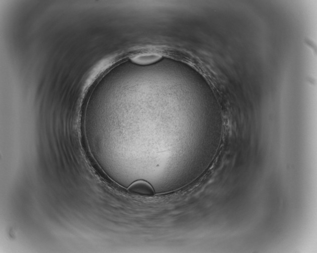 X0000095890006200801111205