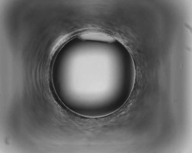 X0000095890007200801111205