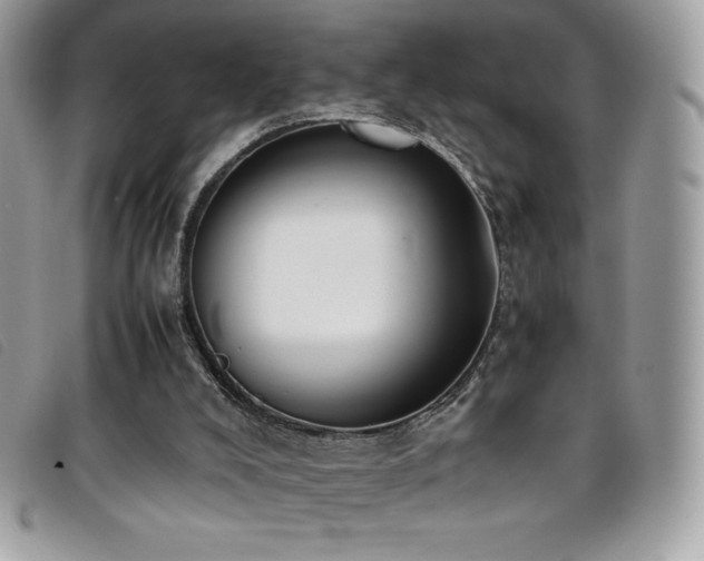 X0000095890008200801111205
