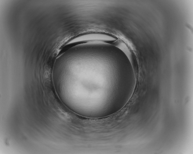 X0000095890009200801111205