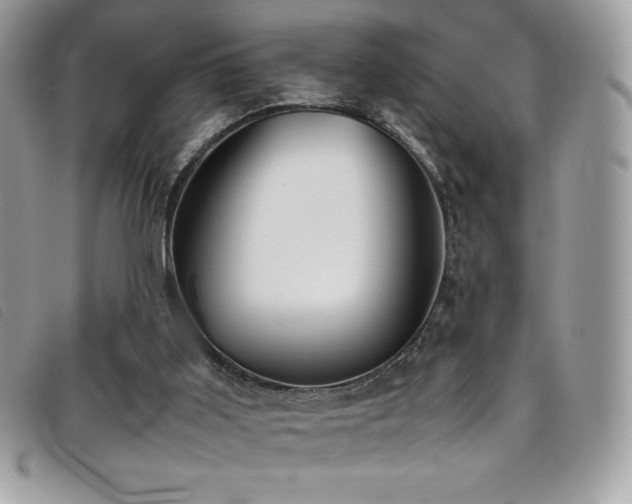 X0000095890011200801111205