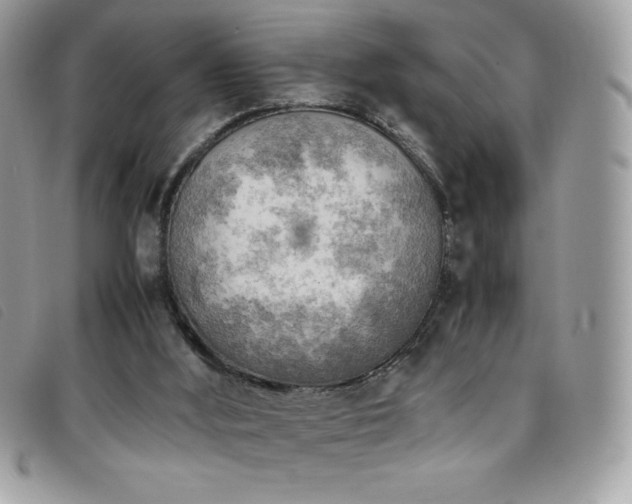 X0000095890012200801111205