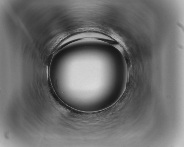 X0000095890013200801111205
