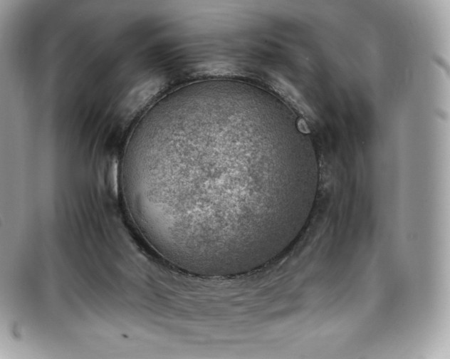 X0000095890014200801111205