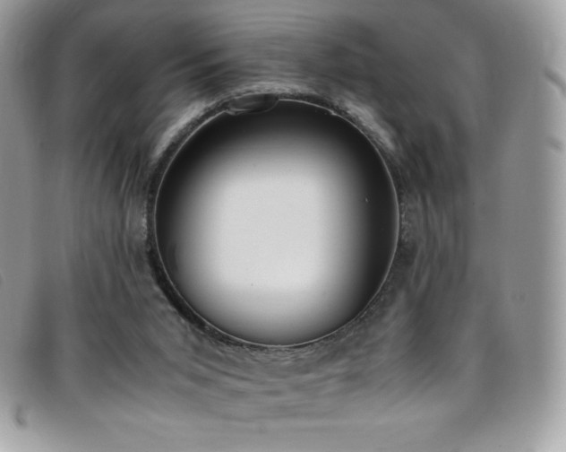 X0000095890015200801111205