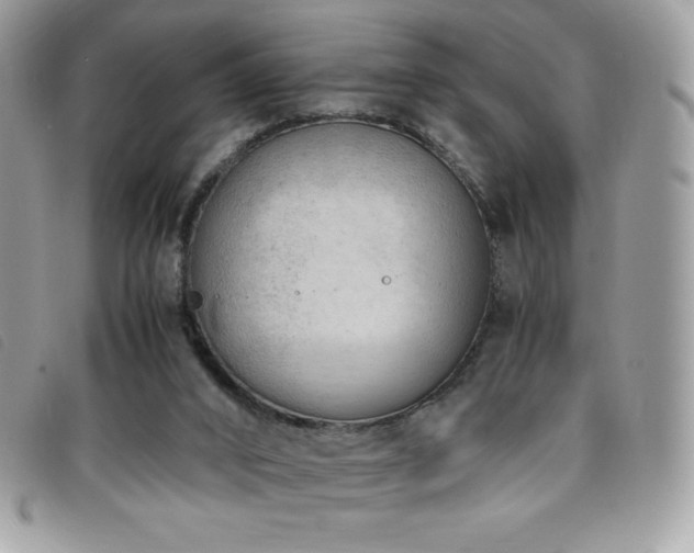X0000095890016200801111205