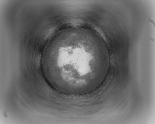 X0000095890018200801111205