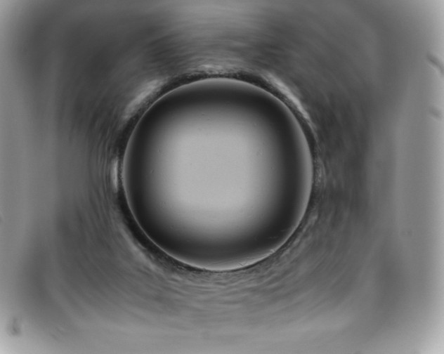 X0000095890019200801111205