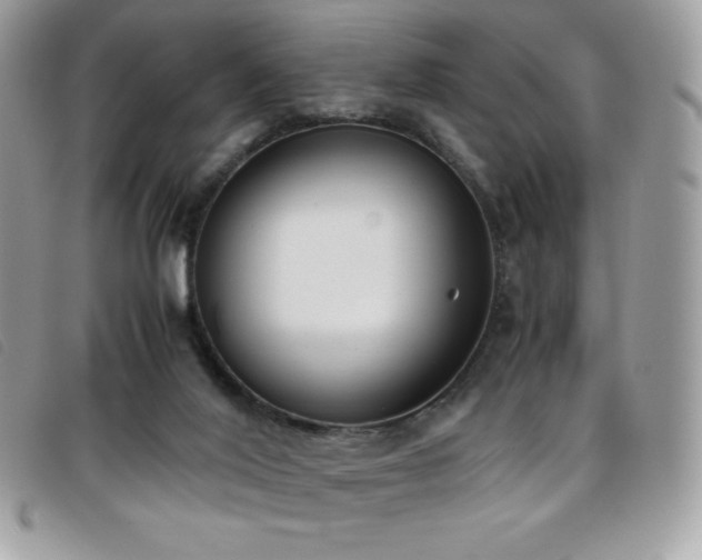 X0000095890020200801111205