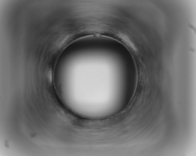 X0000095890021200801111205