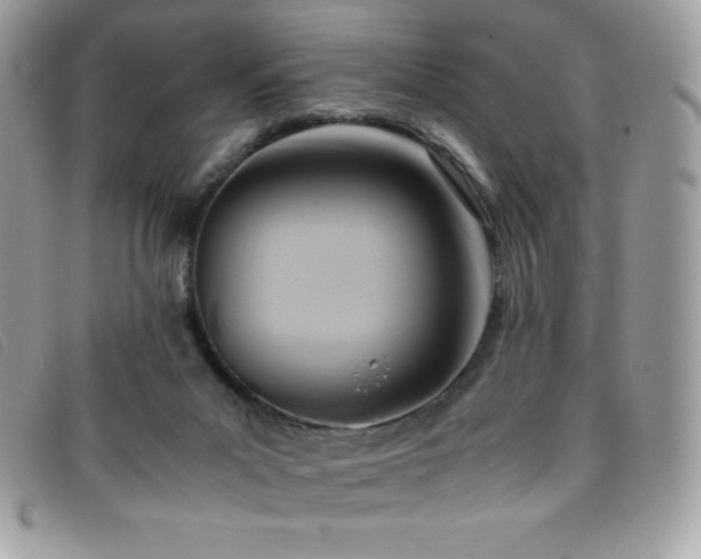 X0000095890023200801111205