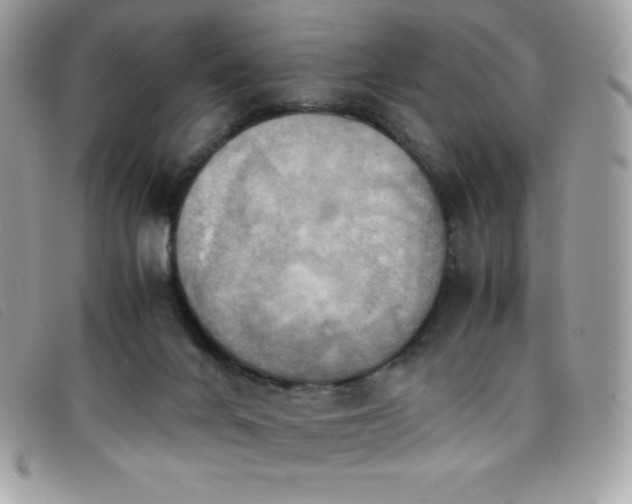 X0000095890024200801111205