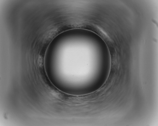 X0000095890025200801111205