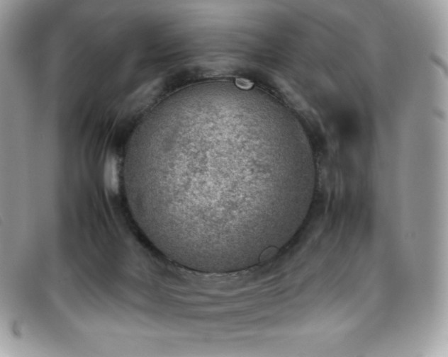 X0000095890026200801111205