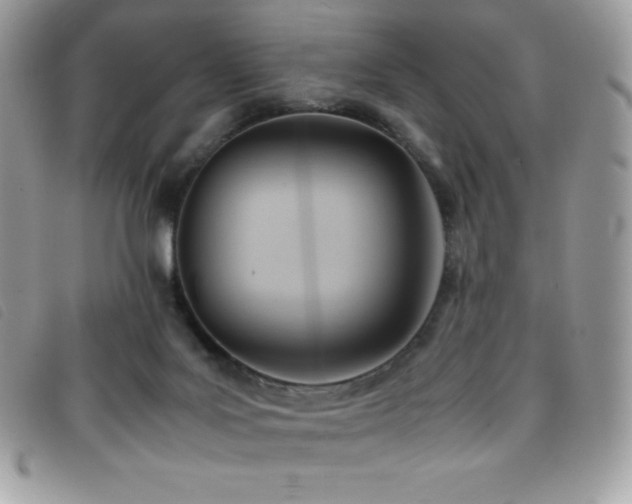 X0000095890027200801111205