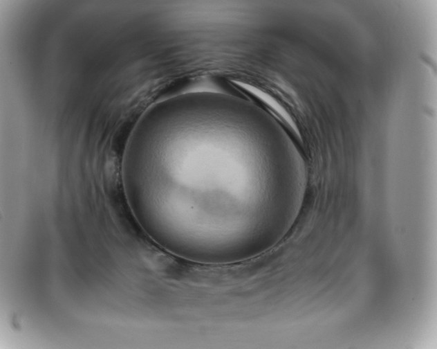 X0000095890029200801111205