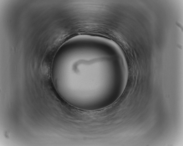 X0000095890031200801111205