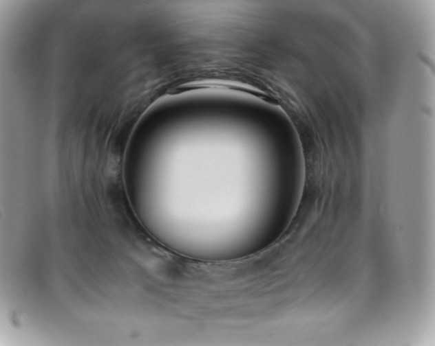 X0000095890033200801111205