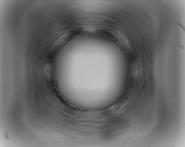 X0000095890036200801111205