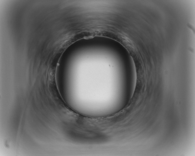 X0000095890037200801111205