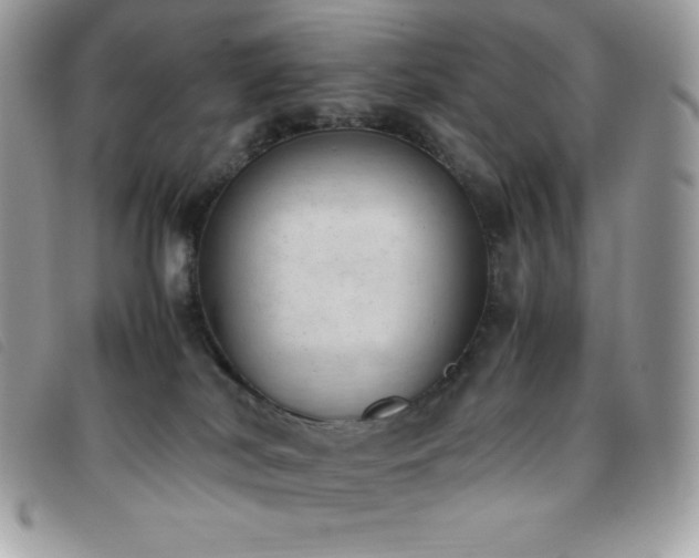 X0000095890038200801111205
