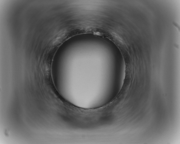X0000095890039200801111205