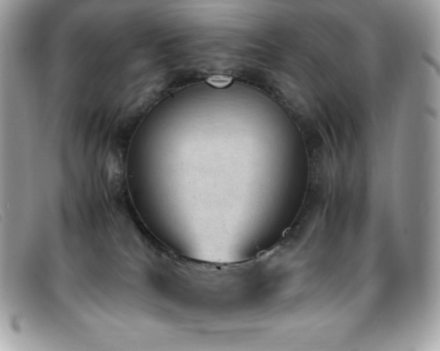 X0000095890040200801111205