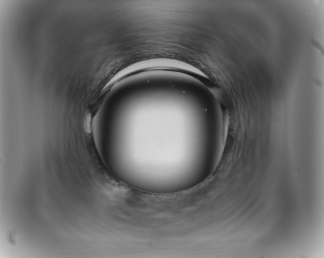 X0000095890041200801111205